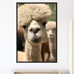 signwin Framed Canvas Wall Art Llama Animals Camels...
