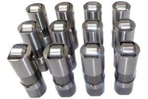 DNJ LFK121107A Valve Lifter Kit for 2007-2011 Chrysler, Dodge, Jeep, Volkswagen Caravan, Grand Caravan, Pacifica 3.3L-3.8L V6 12V OHV 3778cc