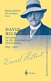David Hilbert's Lectures on the Foundations of Geometry 1891-1902 (English and German Edition) by