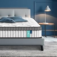 Queen Mattress 12 Inch, Hybrid Medium Firm Mattress in a Box with Memory Foam & Pocket Springs for Motion Isolation & Edge Support, Fiberglass Free Breathable Cover for Cool Sleep, Back Pain Relief