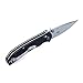 Ganzo G7531 Folding Pocket Knife 440C Stainless Steel Blade G10 Anti-Slip Handle with Clip Hunting Fishing Camping Folder Outdoor EDC Knife (Black)