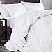 puredown Luxury Fill White Goose Down Comforter 400 Thread Count 600 Fill Power Eygptian Cotton, Full/Queen Size, White (PD-GC15007-F)