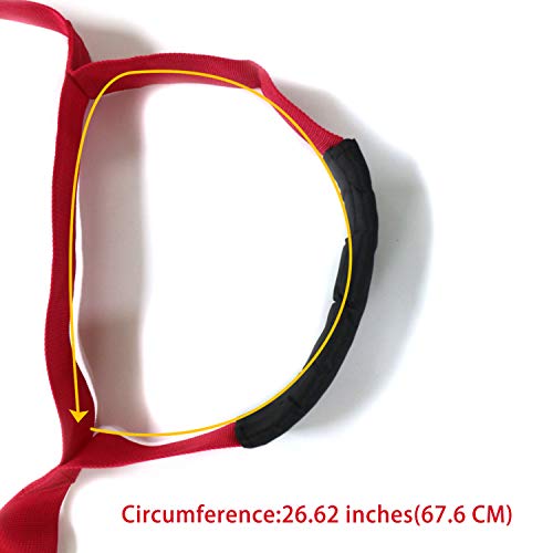 ArtiGifts Furniture & Appliances Lifting and Moving Straps for One