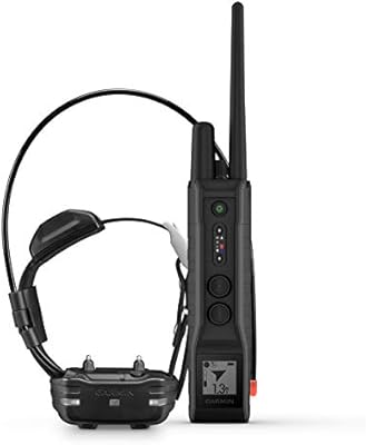 my labrador puppy keeps biting me