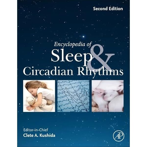 洋書 Sleep and rehabilitation O'Sullivan & Schmitz's Physical Rehabilitation