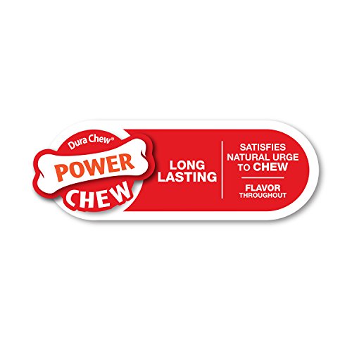 Nylabone Power Chew DuraChew Bone Dog Chew Toy, Twin Pack, Medium