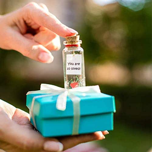 Message in a Bottle. You are So Loved Romantic Gift for Girlfriend or Boyfriend Message in a Bottle. You are So Loved Romantic Gift for Girlfriend or Boyfriend