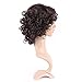 Curly Synthetic Wig Brown Short Hair 20 Styles Fluffy Heat Resistant Wig for Women Girls Lady,10'' / 10 inch #2 Dark brown