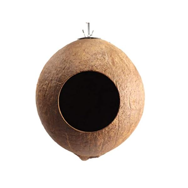 Balacoo Nido di Uccello Domestico Delicato Ciondolo Conchiglia di Cocco Naturale Nido di Uccello Artigianato Nido…