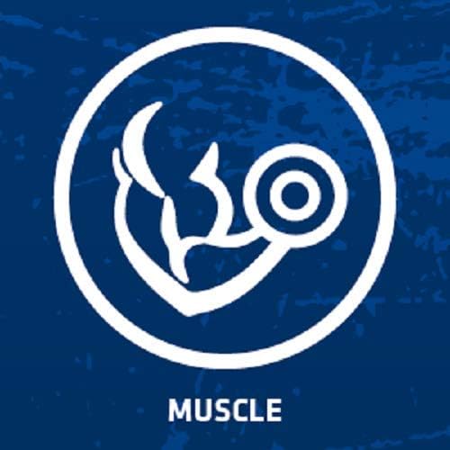 USN Micronized Creatine Monohydrate Powder 200 g: Energy Boosting Pre Train and Recovery Powder - Image 5