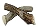 WhiteTail Naturals - Deer Antlers for X-Large Dogs (2 Pack- Jumbo XXL) All Natural Antler Dog Chew - Naturally Shed, Long Lasting Chew Bone for Big Agressive Chewers