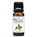 BioFinest Camphor Oil - 100% Pure Camphor Essential Oil - Premium Quality - Therapeutic Grade - Best For Aromatherapy - FREE E-Book (10ml)