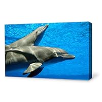 Canvas Wall Art Lovely Dolphin Canvas Prints Home Artwork Decoration for Living Room,Bedroom - 12x18 inches