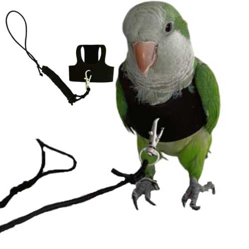 Barn Eleven Bird Flight Harness