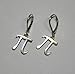 Pi Symbol Earrings