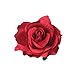 Lovefairy Beautiful Rose Flower Hair Clip Pin up Flower Brooch for Party Travel Festivals