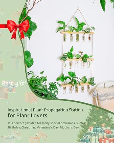 Propagation Plant Glass Stand Station Terrarium Kit Hydroponic Modern Wooden Plant Lovers Wall Hanger Stand Gift For Her Plant Gift Boho