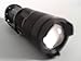 Amicc New 365 Nm Uv Ultra Violet AA Batteries Blacklight Flashlight