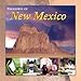 Treasures of New Mexico (Treasure Series) (Treasure Series) by