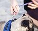Comfort fit All Weather Step-in Dog Harness - Adjustable Small Dog Harness Medium Sized Dogs - Soft Padded Easy Walk Dog Vest Harnesses