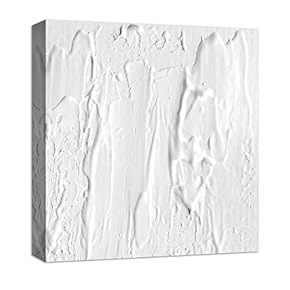 Canvas Wall Art Black and White Abstract Oil Painting Feature Painting Artwork for Home Prints Framed - 12x12 inches