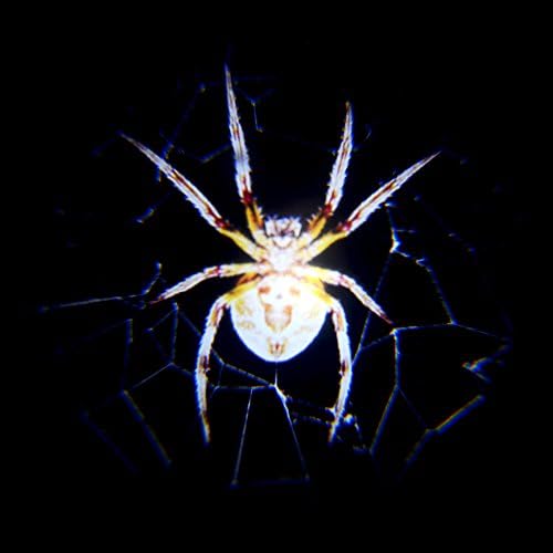 Padaday 2x Spider Net replaceable insert Logo film slide Emblem for car wirless welcome logo projector lights USB dome projector light Home door ceiling E26 E27 projector light