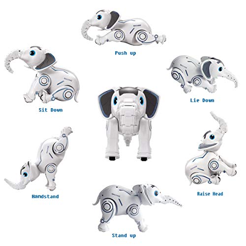 DX DA XIN Remote Control Robot Toy, Interactive Wireless Animal Dancing