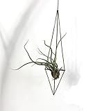 Freestanding Hanging Metal Triangular Shape Tillandsia Air Plant Rack Geometric Himmeli Sculpture (HEIGHT 25CM)
