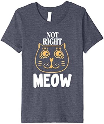 Kids Premium:Funny Not Right Meow T-Shirt for Cat Lovers 12 Heather Blue