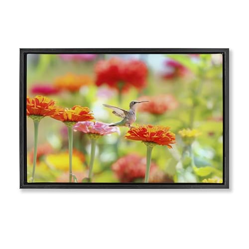 Stupell Industries Sugar Fairy Hummingbird Black Framed Floater Canvas Wall Art…