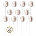 Prextex Baseball Lollipops - Kids Sports Ball Suckers for Birthday, Sports Event or Baseball Party Favor - Pack of 12 (1 Dozen)