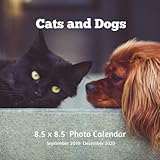 Cats and Dogs 8.5 X 8.5 Photo Calendar September 2019 -December 2020: Monthly Calendar with U.S./UK/ by Lynne Book Press