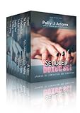 Seduced: Stories of Temptation and Seduction (Boxed Set)