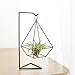 Mkono Air Plant Stand Holder Metal Airplant Tillandsia Hanger Tabletop Planter