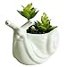 GeLive Ceramic Succulent Planter, White Snail Plant Pot with Drainage Hole, Animal Bonsai Holder Window Box for Cactus, Succulent Plants Home Office Garden Flower Pot Gifts for Plants Lover
