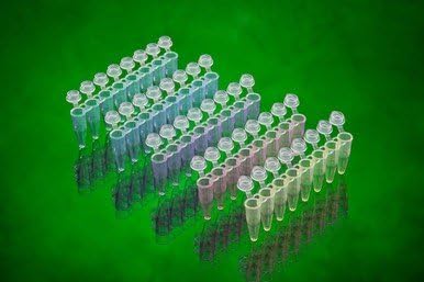 Stellar Scientific See-More 0.2mL 8-Strip PCR Tubes w/Attached Individual Flat Caps, Assorted Colors, 120x8, 960/PK