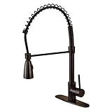 Rozin Single Hole Pull Down Sprayer Kitchen Sink Faucet Deck Mount Mixer Tap with 8