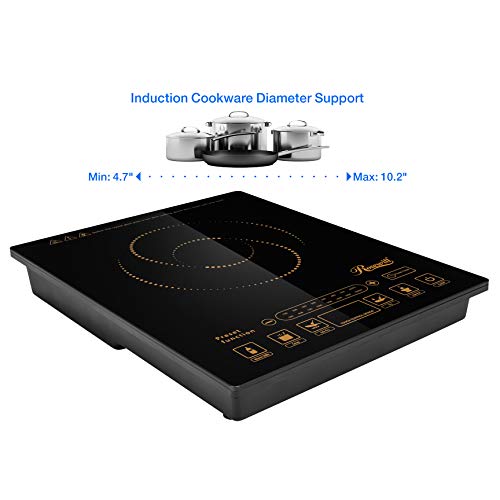 5 Rosewill+Pre+Programmed+Induction+Stainless+RHAI+16002