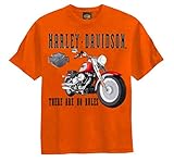 Harley-Davidson Little Boys' Tee, No Rules Motorcycle Shirt, Orange 0284198 (4)