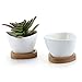 T4U Small White Succulent Planter Pots with Bamboo Tray Traiangle Set of 2, Geometric Cactus Plant Holder Container for Home Office Table Desk Decoration Gift for Mom Aunt Sister Daughter Gardener