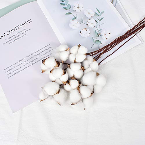 Hagao Cotton Balls with Branch Wreath Decor Cotton Bolls Made of Real Natural Cotton Great for Crafting Farmhouse Style 10 pcs - Thumbnail 2