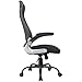 OWLN Ergonomic High Back Mesh Office Chair with Adjustable Headrest and Armrest Desk Chair