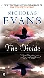 The Divide
