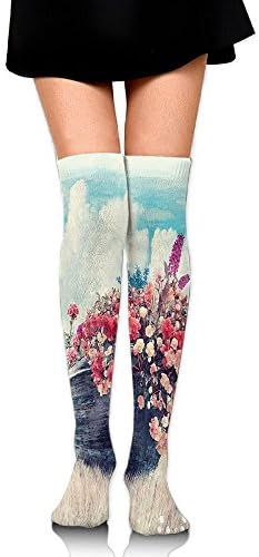 Hizhogqul Abstract Watercolored Image With Flowers On A Boat Surreal Women's Fashion Over The Knee High Socks (60cm)