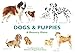 Dogs & Puppies: A Memory Game by 