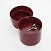 SafeInside 4202 Flower Pot Diversion Safe with Key Lock, Marsala