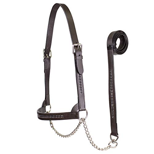 Derby Round Leather Cattle Dairy/Beef Show Halter with Lead Warm Havana
