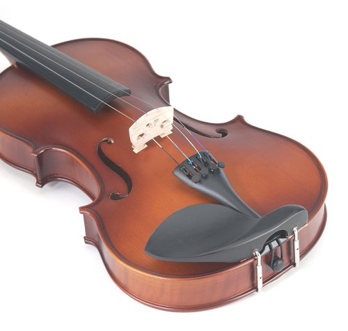 https://images-na.ssl-images-amazon.com/images/I/41tPWqyLLUL.jpg