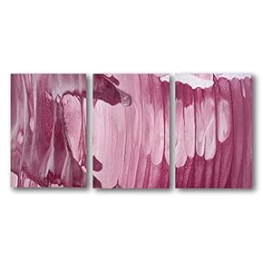 3 Panel Canvas Wall Art Abstract Color Pictures Home Wall Decorations for Bedroom Living Room Paintings Canvas Prints Framed - 16"x24" x 3 Panels