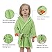 IDGIRL Toddler Dinosaur Cotton Bathrobe for Girls Boys 3-5 Years Green